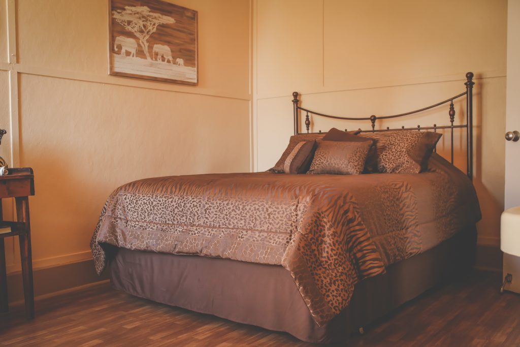 Our Safari Room has a Queen bed and a bathroom with a shower in the room.  The Safari Theme is repeated in the animal print comforter/bedspread and accent pillows in a dark brown.